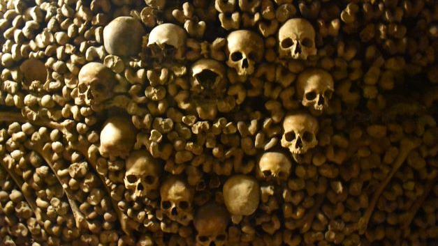 Dead Man's Party
