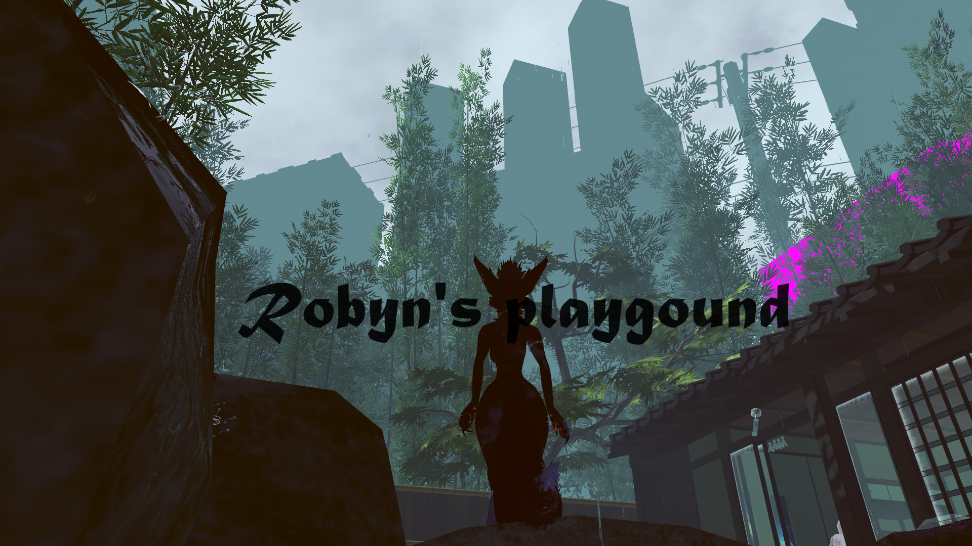 Robyn's playground