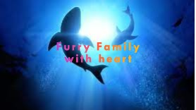 Furry Family with heart