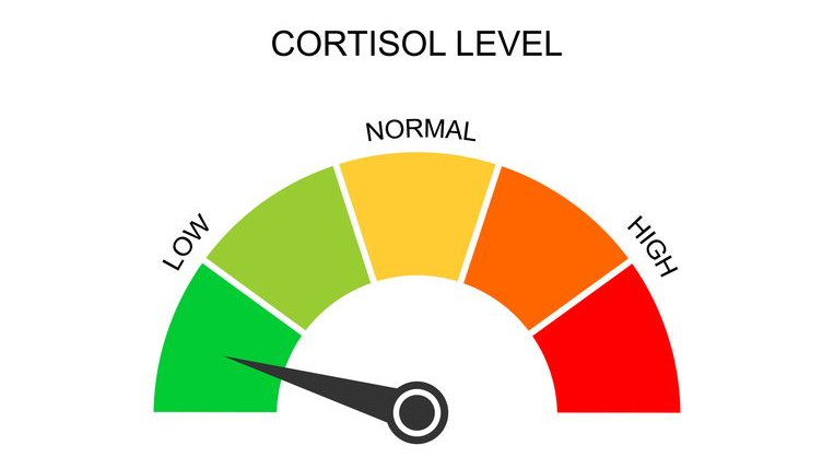 low cortisolのバナー