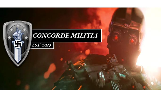 The Finnish Concorde MILITIA