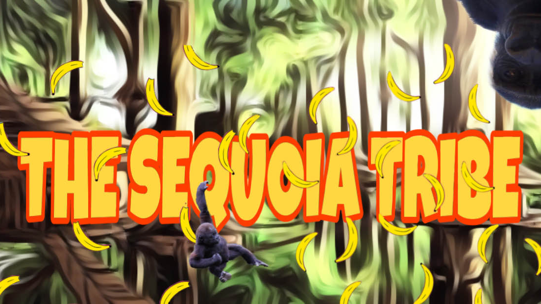 The Sequoia Tribeのバナー