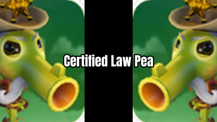 Certified law peaのバナー