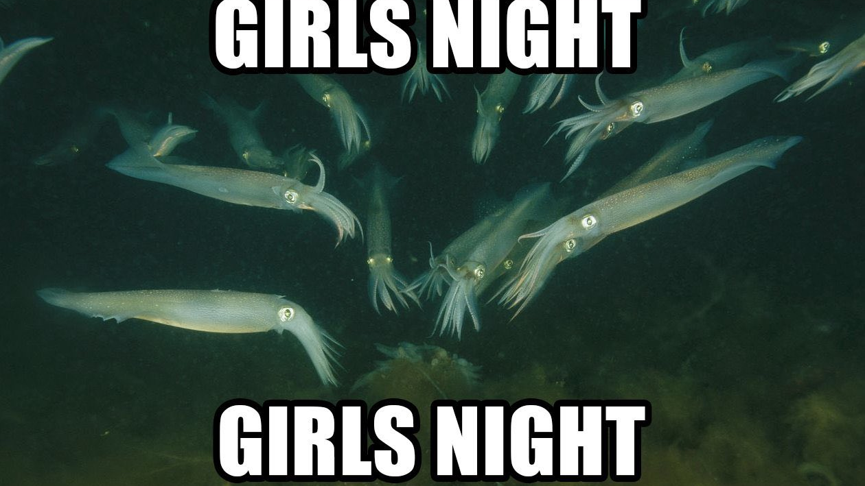 GIRLS NIGHT