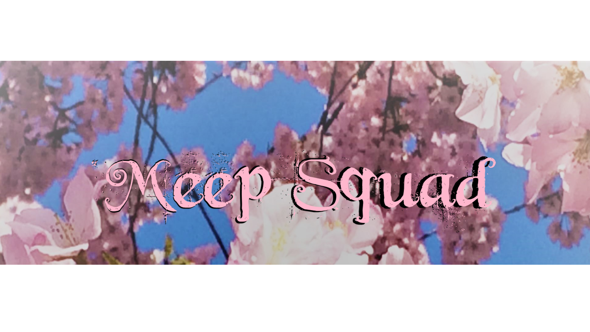Meep Squad