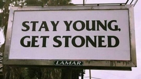 stay young get stonedのバナー