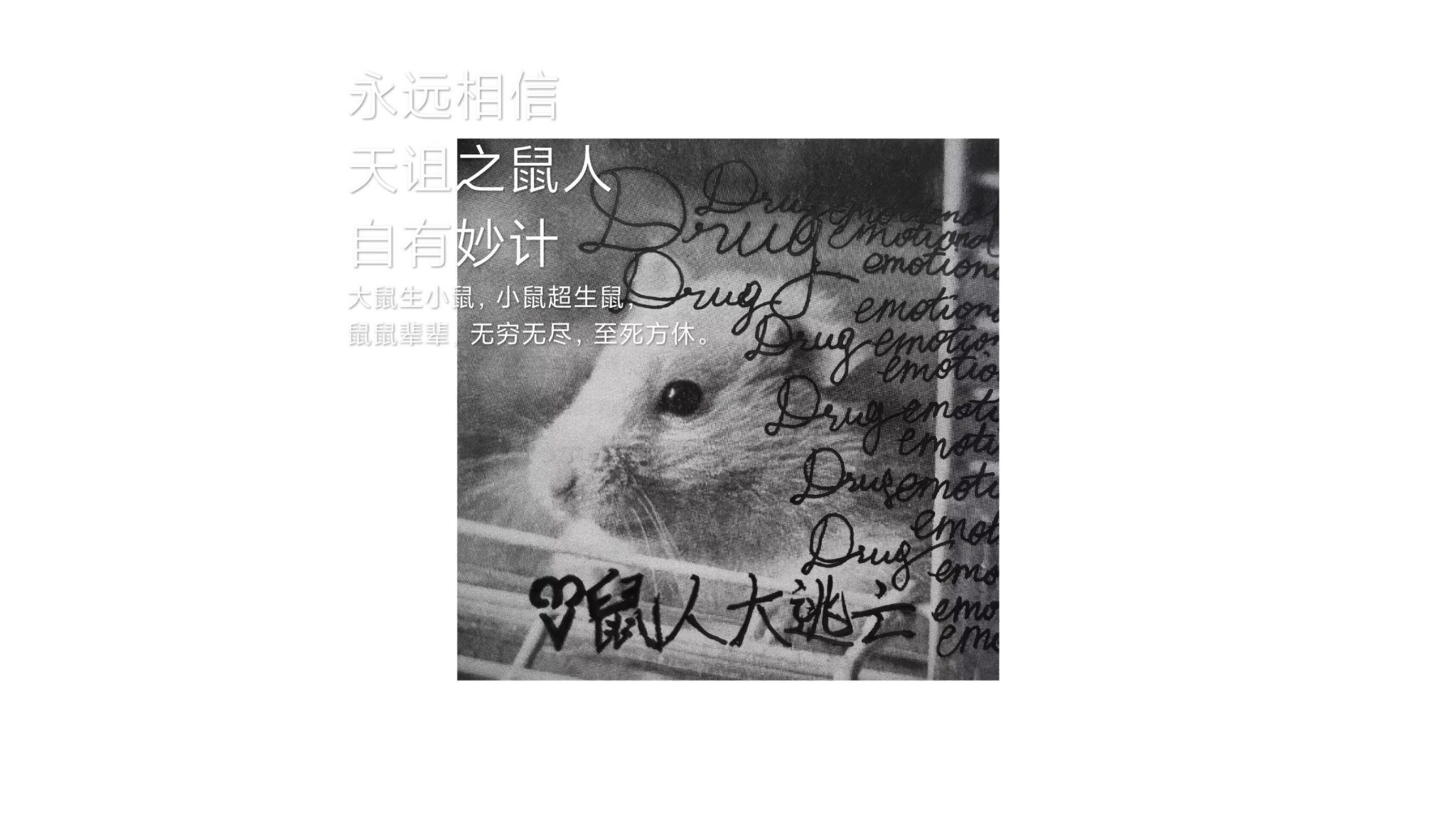 普信主义のバナー