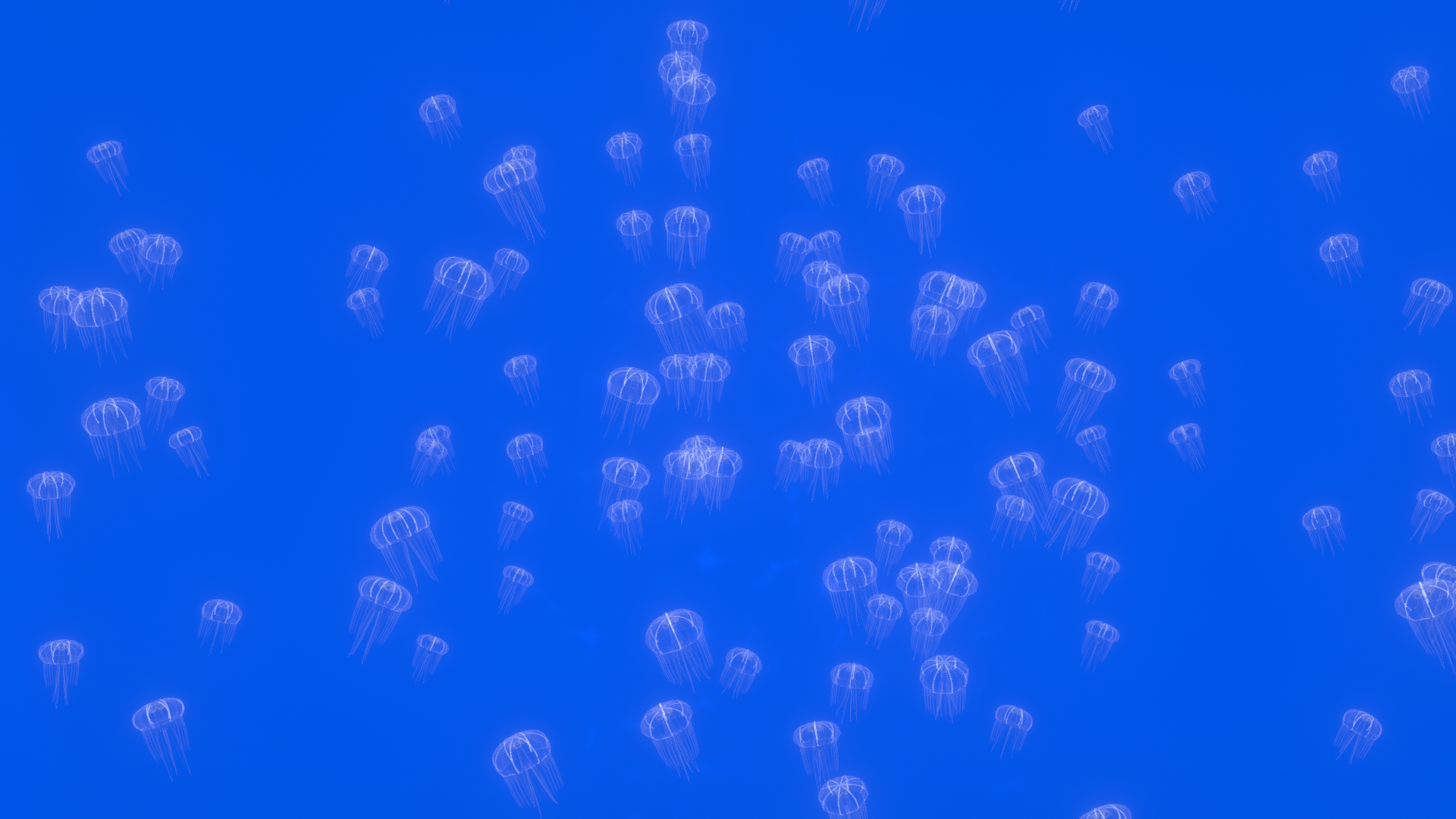 weird fishes