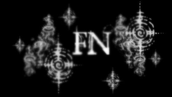 Fn Incorporatedのバナー
