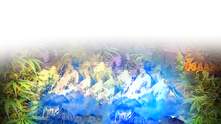 wintersentのバナー