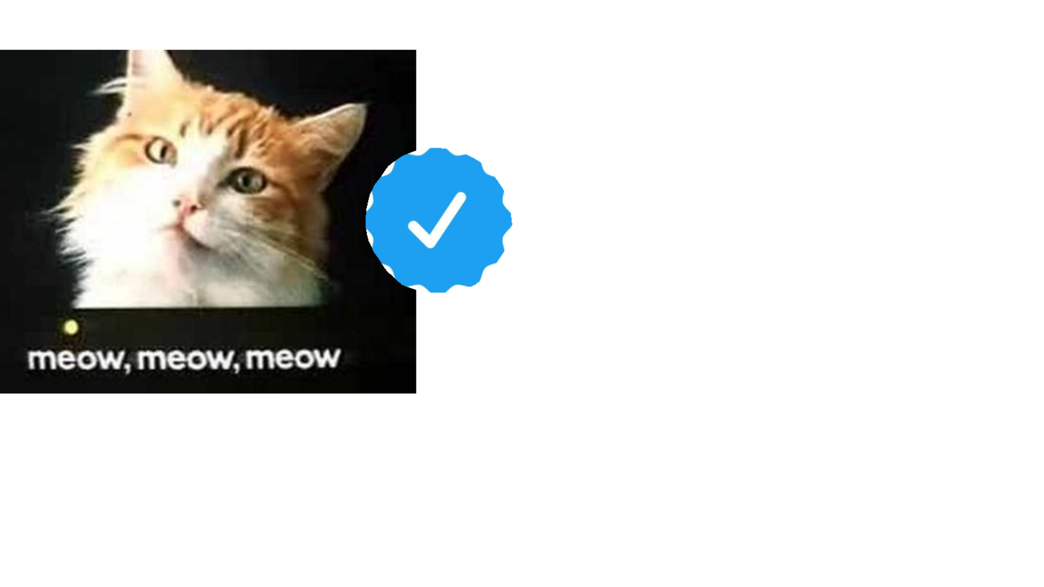 Meow meow meowのバナー