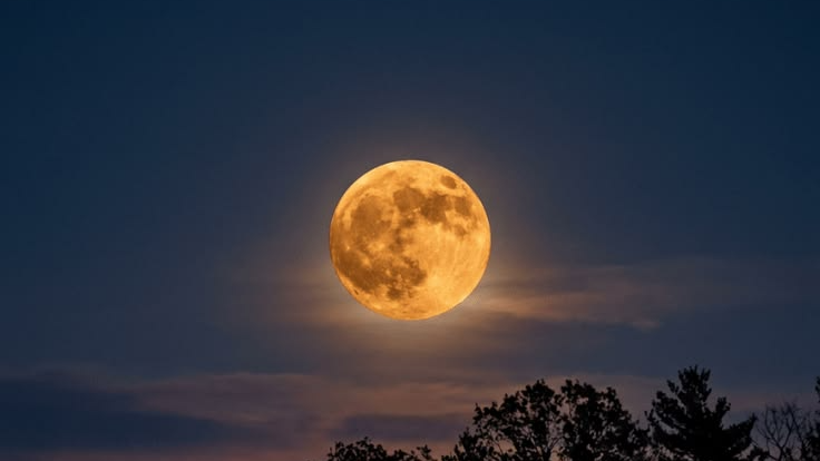 Creeping of the moonのバナー