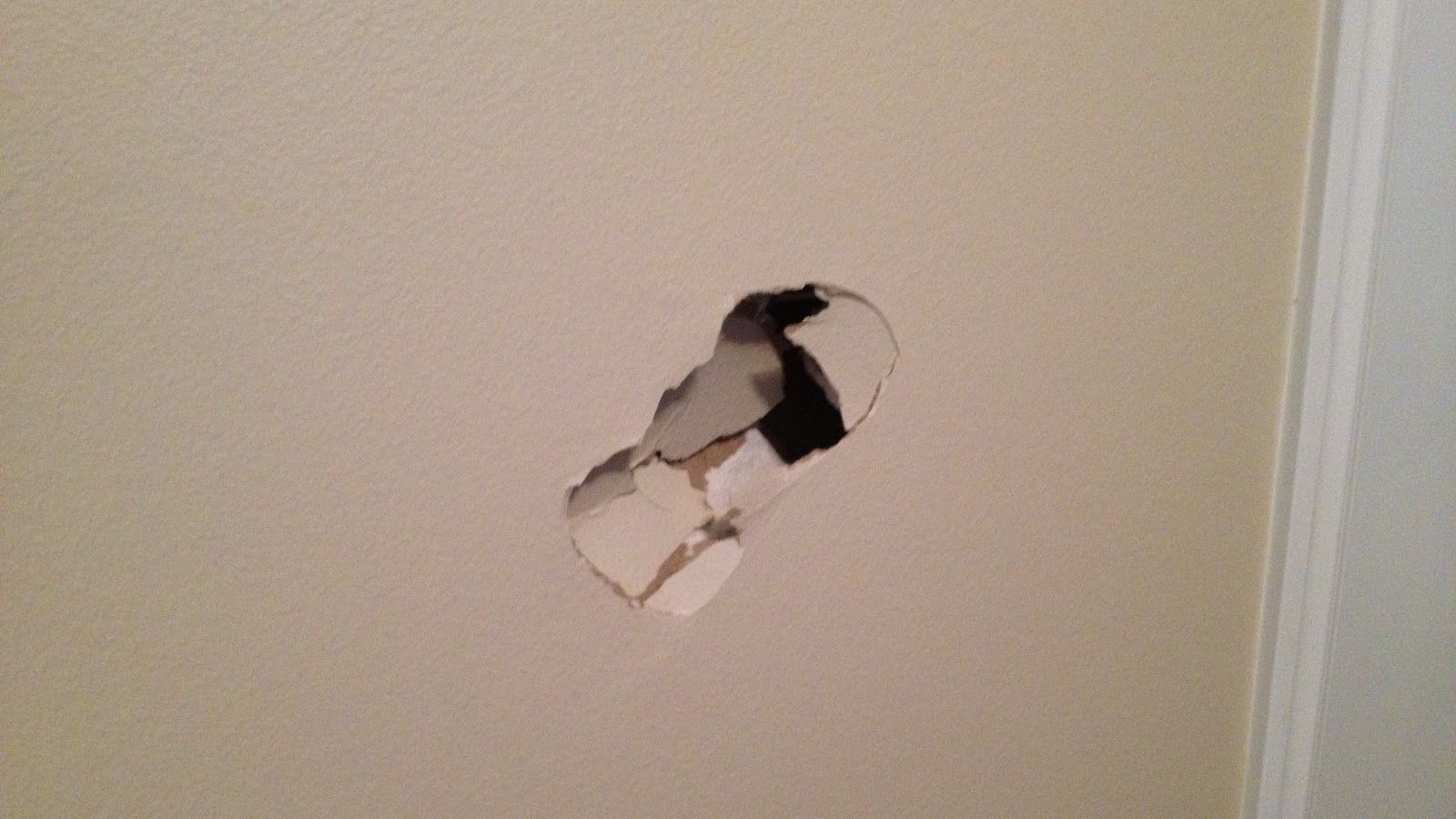 verified wall puncher