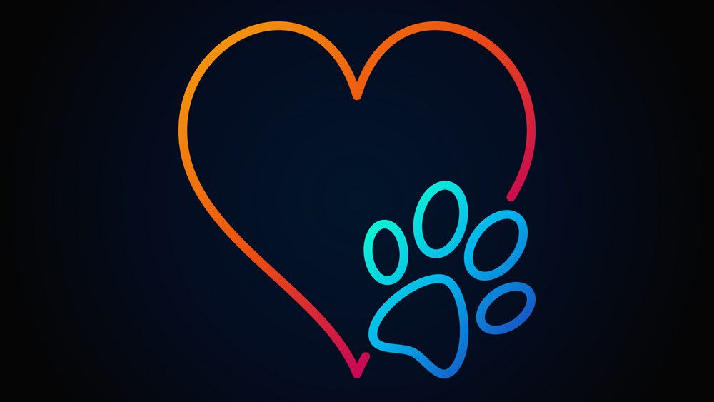 Neon pet