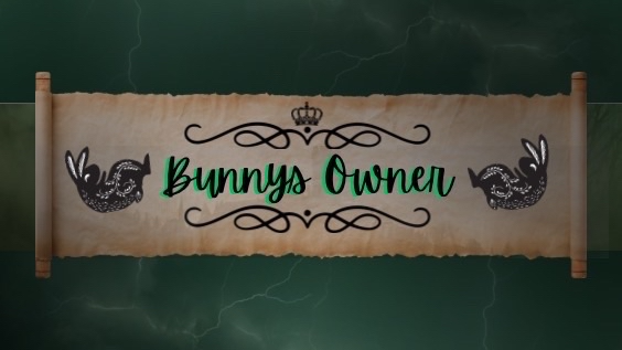Bunnys palace ownerのバナー