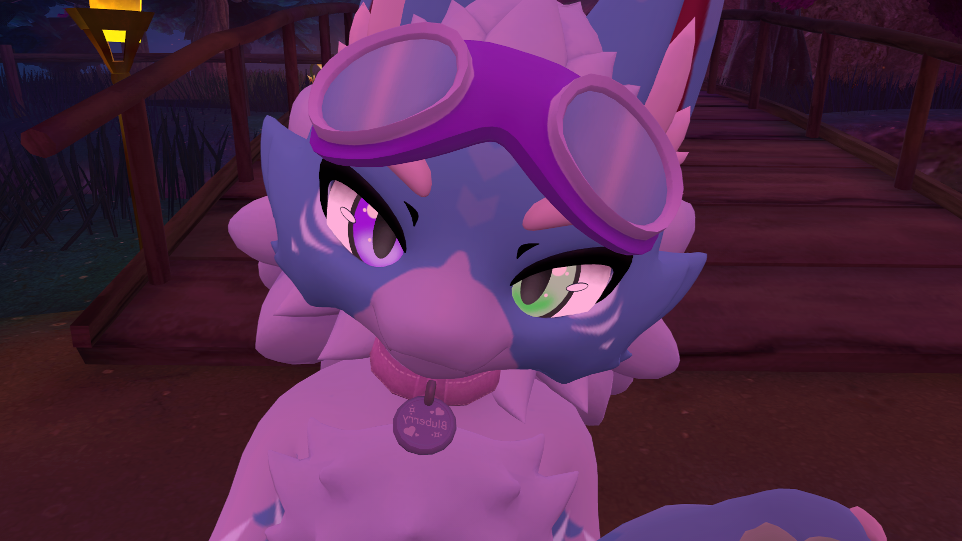 Big fan of Kittens