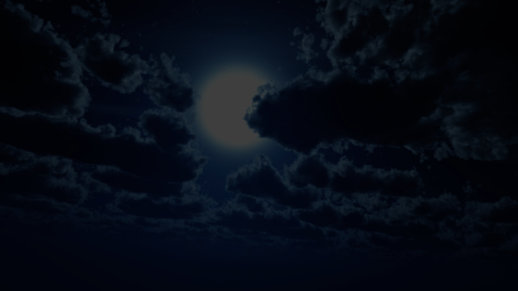 MoonFoxy