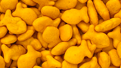 Goldfishのバナー