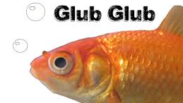 the glub glubsのバナー