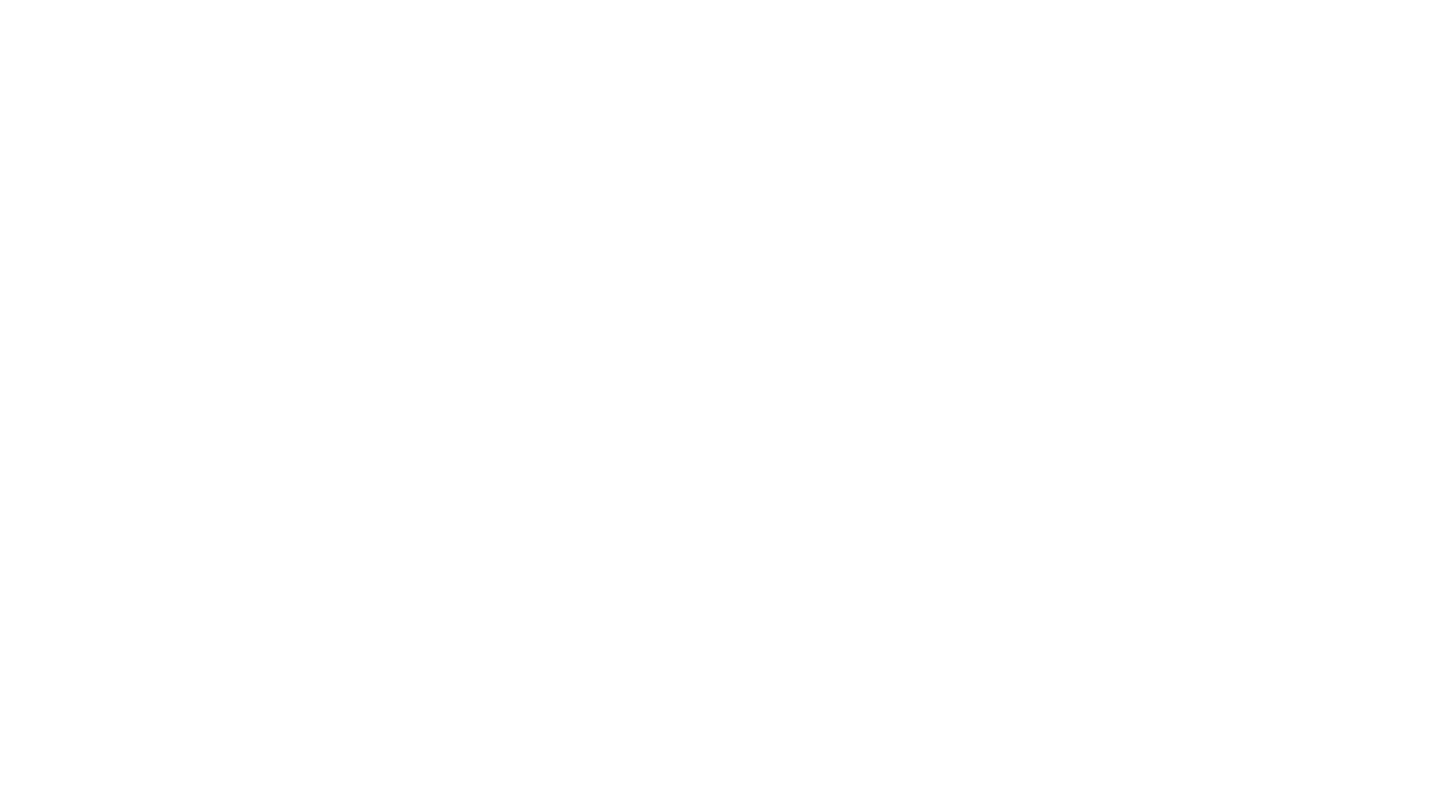POLARIS AIR DRONE