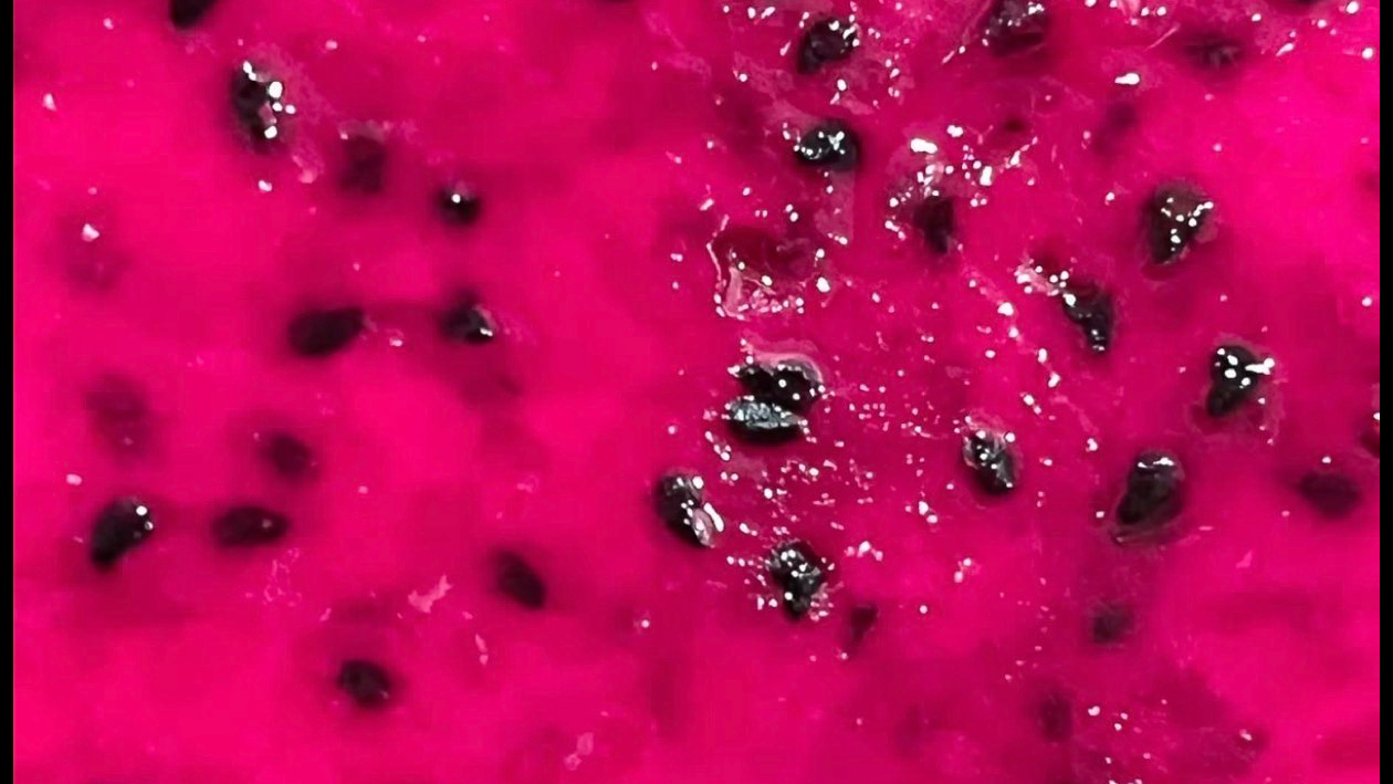 dragonfruitpuppyのバナー