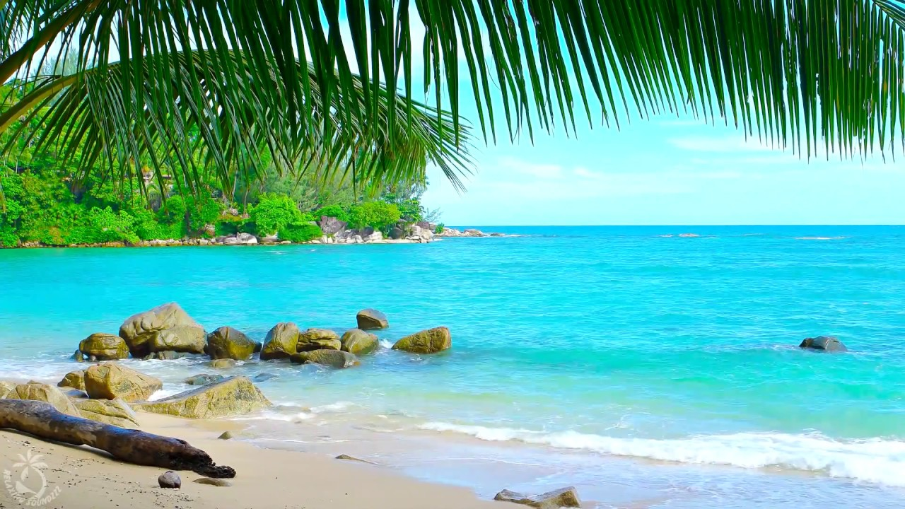 Lazy Dazeのバナー