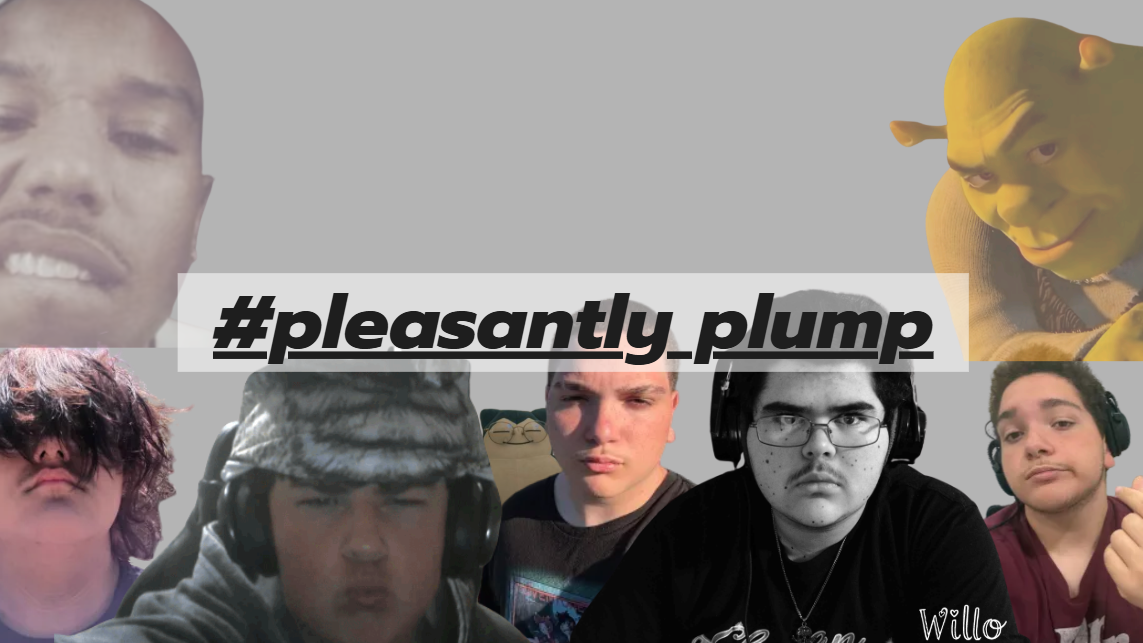 pleasantly plumpのバナー