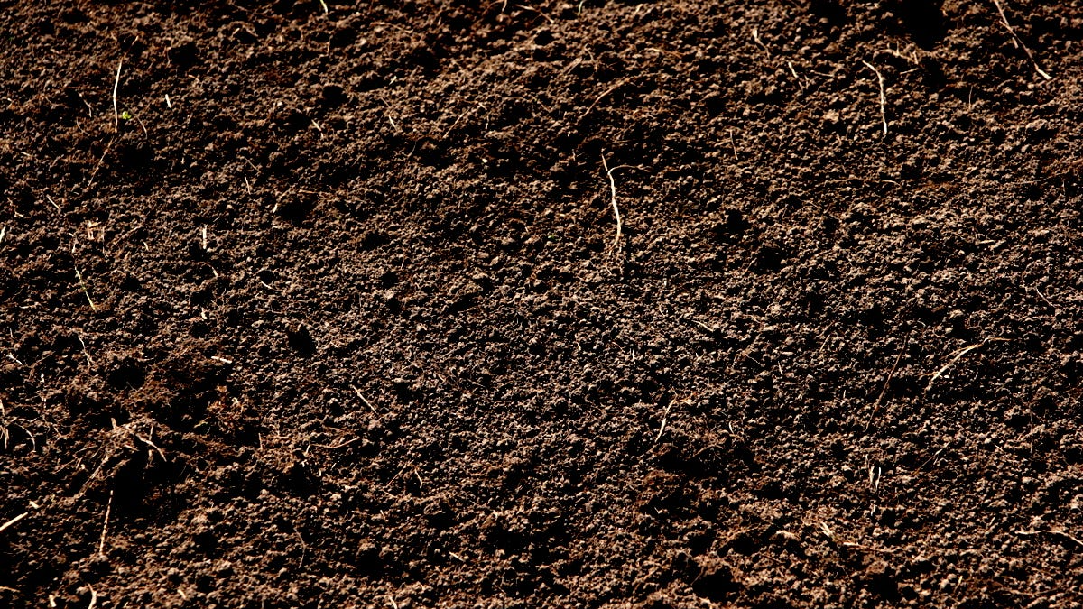 Dirt Eaters