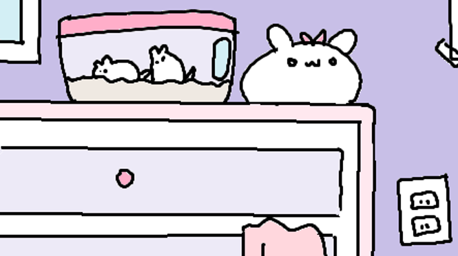 NYMPHOMANIA
