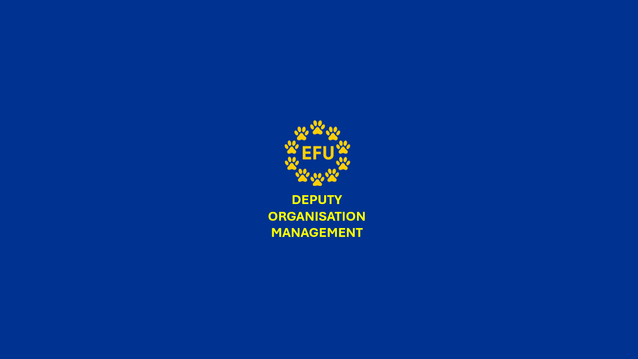 EFU STV-ORGANISATIONSLEITUNGのバナー