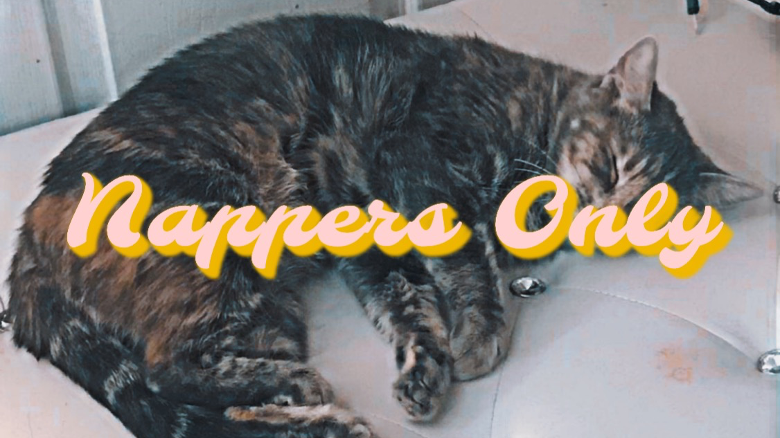 Nappers Only