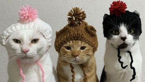 The Hellholesのバナー
