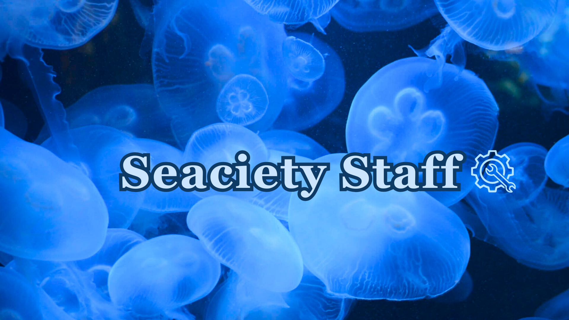 Cerulean Seaciety Staffのバナー