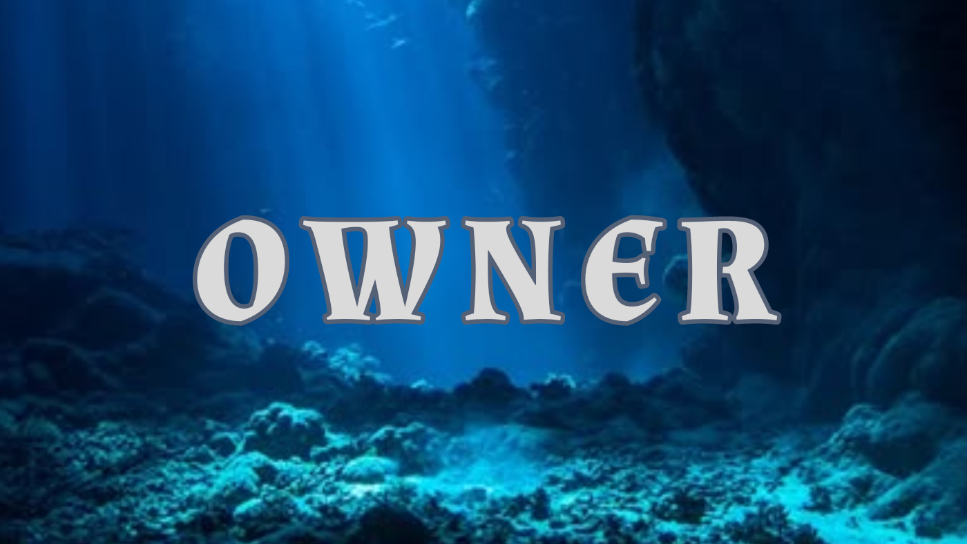 Owner of Sharkbait Aquarimaのバナー