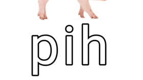 Pihのバナー
