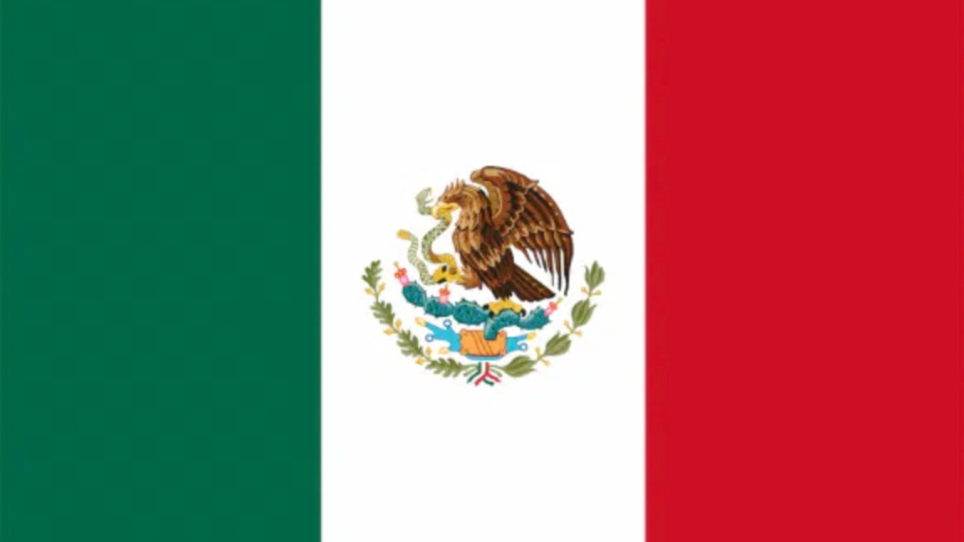 Mexican dynastyのバナー