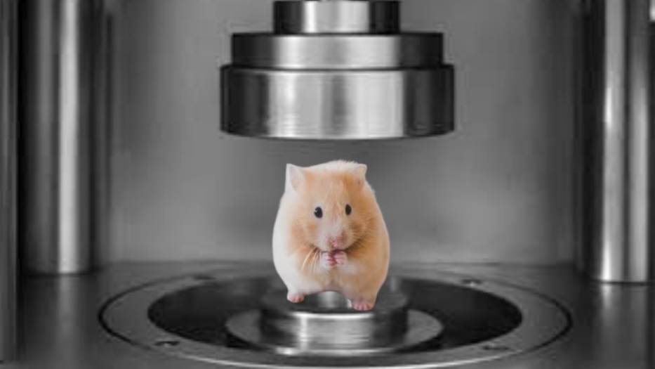 Hamster VS Hydraulic Pressのバナー