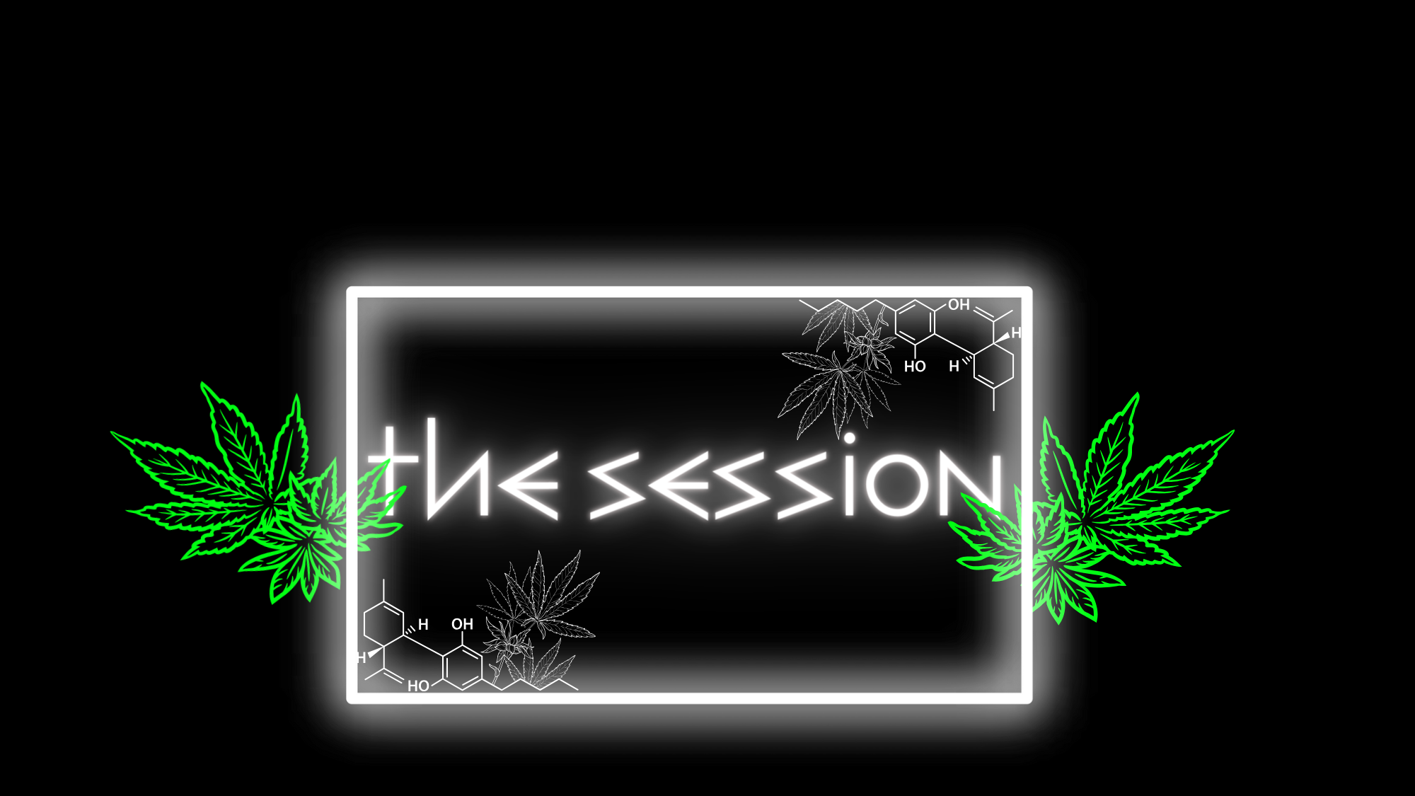 The Session