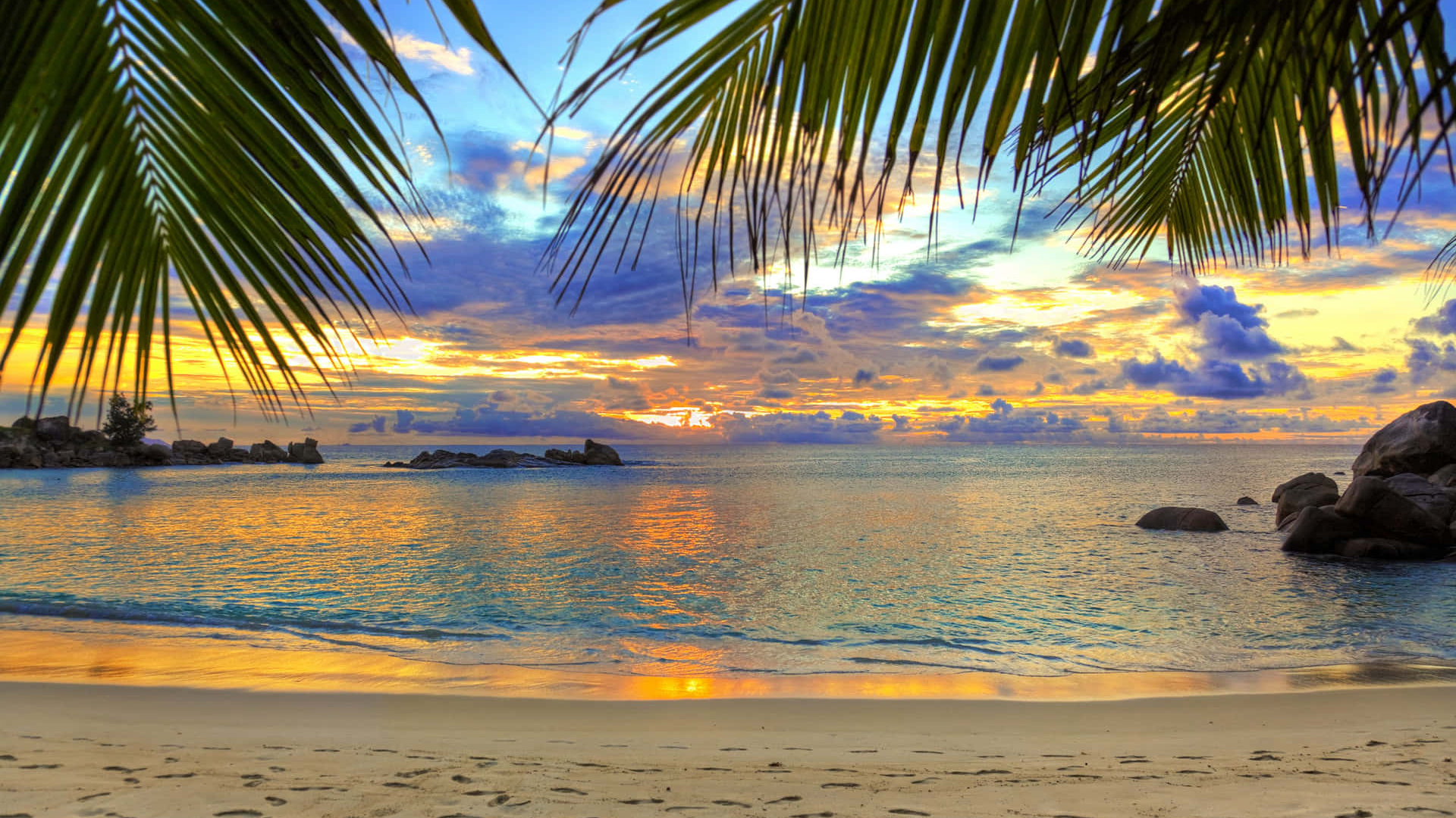 Beach Paradise staff