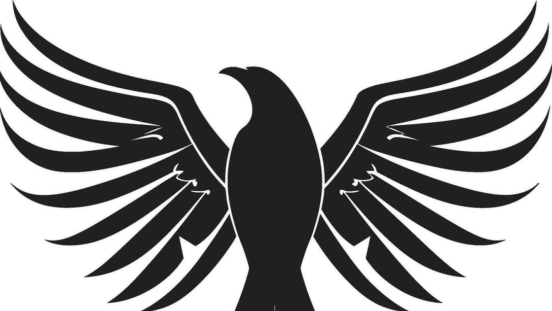 Raven Company