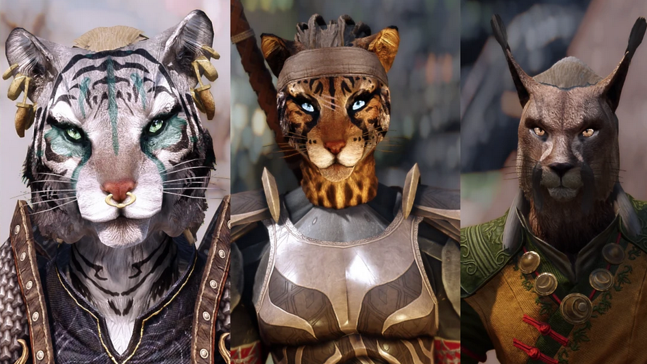 Khajiitのバナー