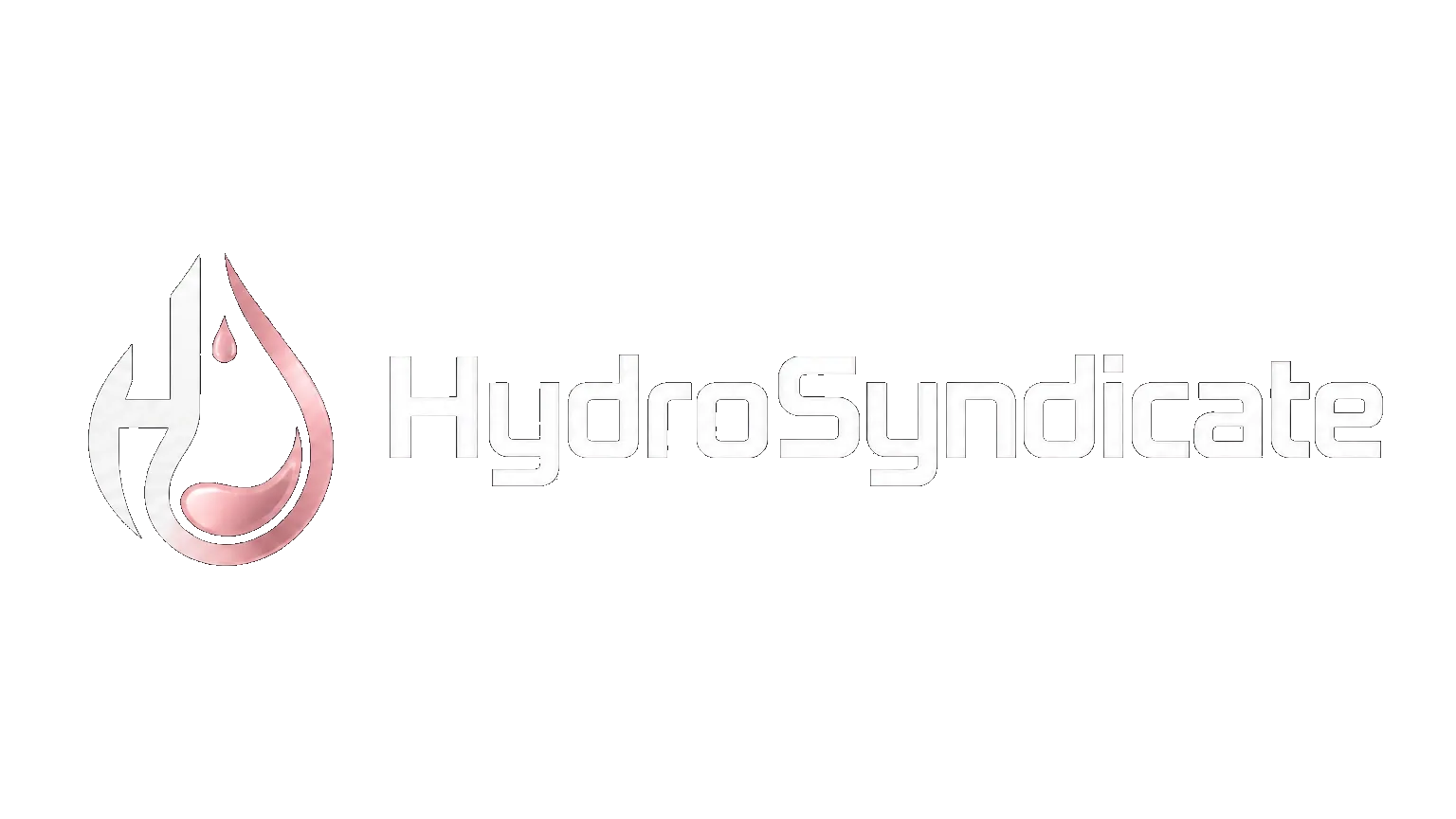 H Y D R O - S Y N D I C A T Eのバナー