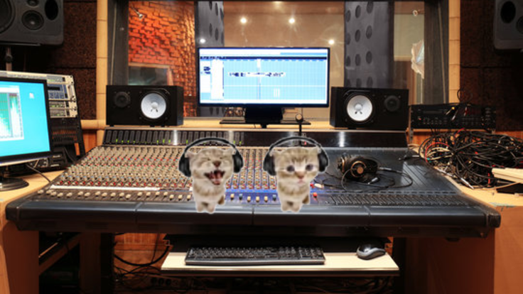 CatJam Station
