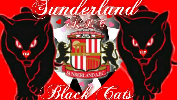 Mackems SAFCのバナー
