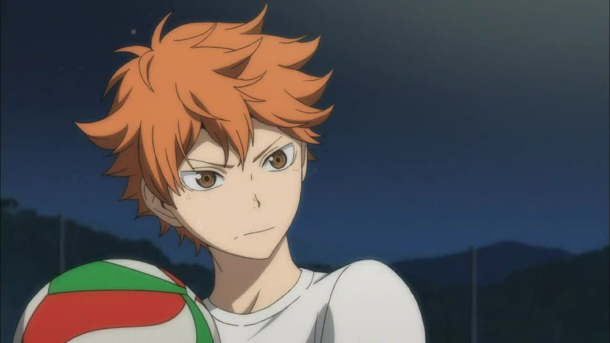 SHOYO HINATA LOVERのバナー