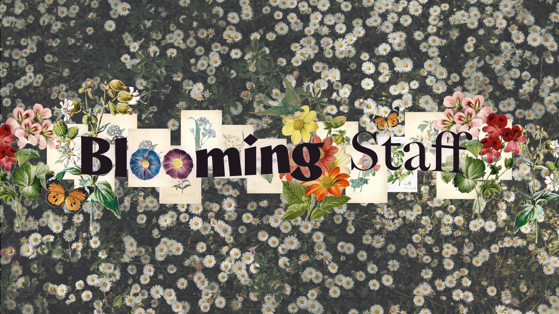 Blooming Staffのバナー