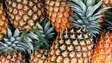 Pineapple Gang