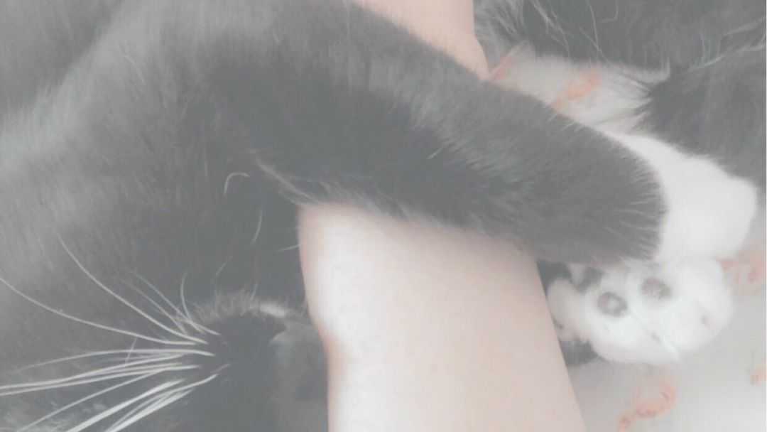 Riku is mommyのバナー