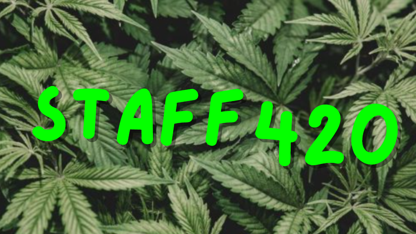 420-STAFF