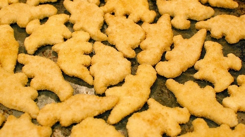DinoNuggies